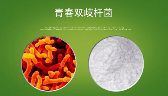 青春双歧杆菌的实验内容与注意事项及保藏方法！