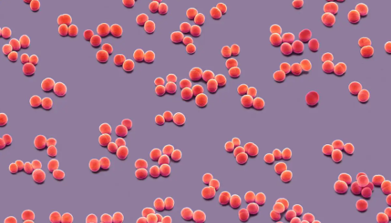 表皮葡萄球菌的生化反应与微生物学诊断及防治原则！