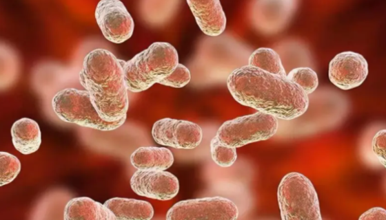 气单胞菌属的分类与鉴定及致病性与检测方法！