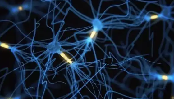 神经干细胞的移植过程与途径及治疗机理！