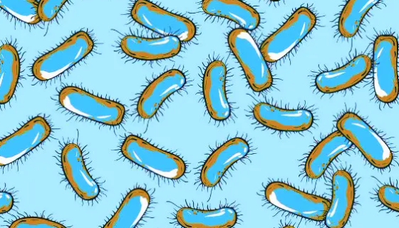 变形杆菌的分布区域与培养特性及抗原构造！