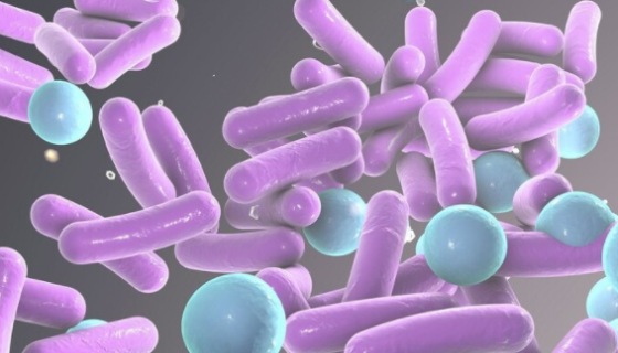 奇异变形杆菌的生化鉴定及检测方法的研究进展！