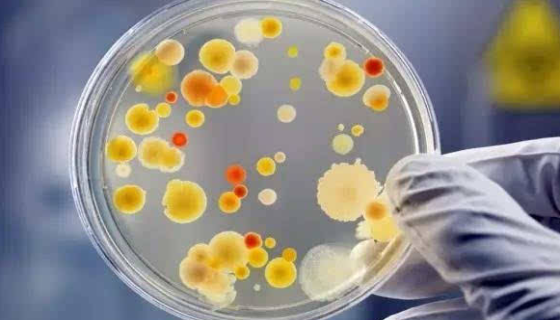 检验技术：消毒与灭菌效果的评价方法与标准！