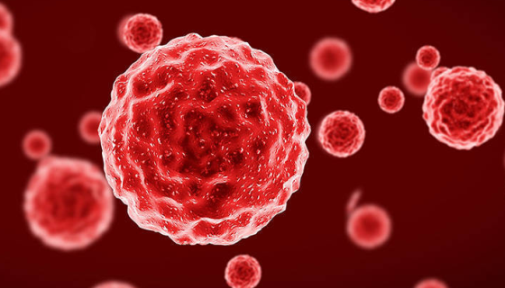 菠萝泛菌——用于筛选抗癌抗菌物质代用模型