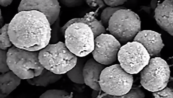 甲烷菌的特性与作用及生存环境与测定方法！