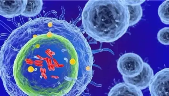 自然杀伤T细胞的处理方法与培养步骤！