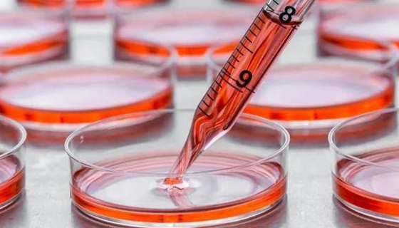 细胞培养中支原体污染的预防措施与处理方法！