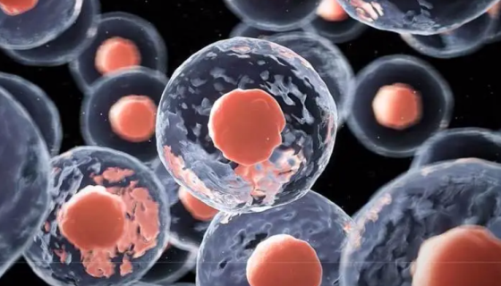 细胞迁移的背景与应用及实验方法！