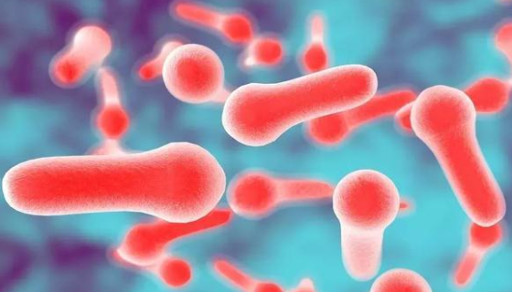 丙酮丁醇梭菌的储存与培养及冻干管打管说明！