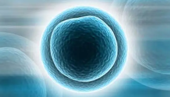 人胚胎干细胞冻存液的使用功效及应用！