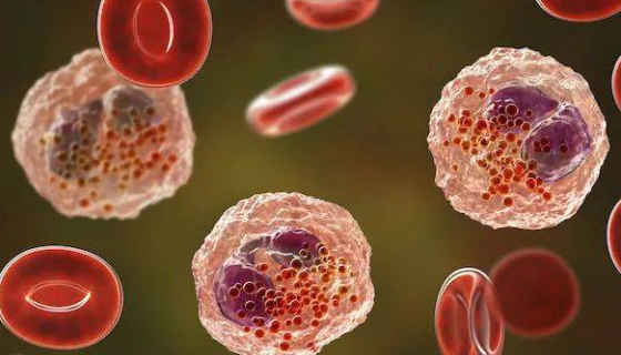 人嗜酸性粒细胞的复苏与传代及冻存操作说明！