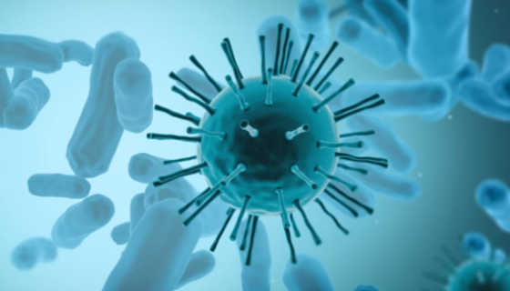 DSM 18531 沼泽甲烷杆菌 百欧博伟生物