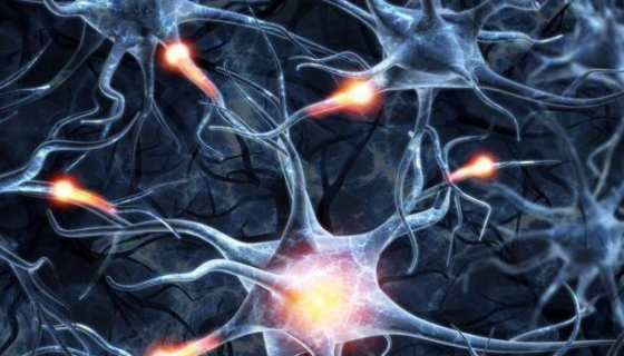 人神经元细胞的主要用途与使用方法及注意事项！