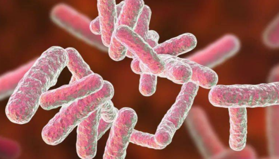 柱状黄杆菌的形态特征与检测方法及注意事项！