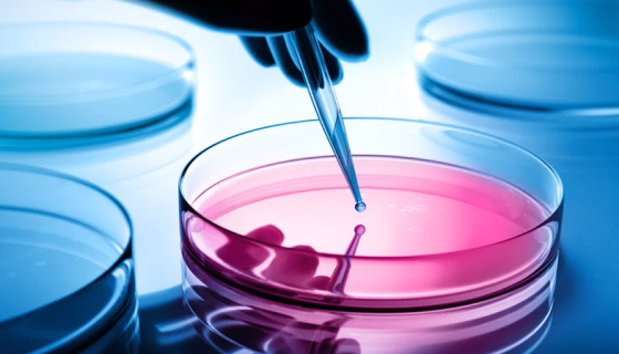 细胞培养基的构成与配制及储存与使用方法！