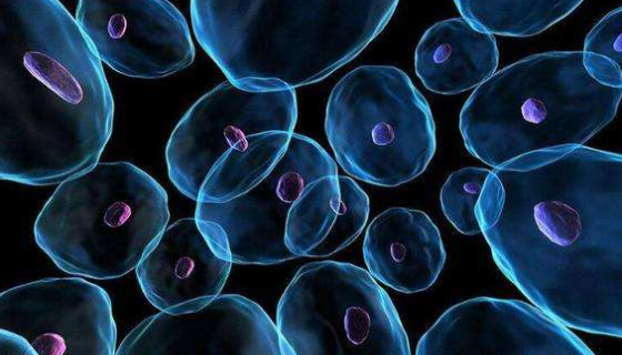 MDA-MB-231人乳腺癌细胞的培养方式及注意事项！