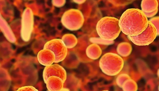 解脲脲支原体的形态与结构及诊断与治疗！