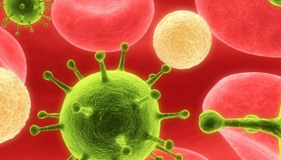 沃尔巴克氏菌的形态特征与检测方法及研究价值！