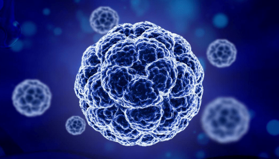 人高转移潜能肝癌细胞的处理方法与培养步骤！