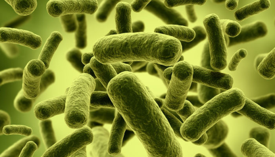 研究发现肠道微生物组可能是调节体温的一个因素！