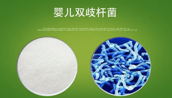 婴儿双歧杆菌的生理功能与发酵培养及主要应用！