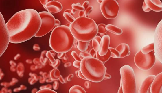 人血清(混合血型)的背景與應(yīng)用及保存方法！