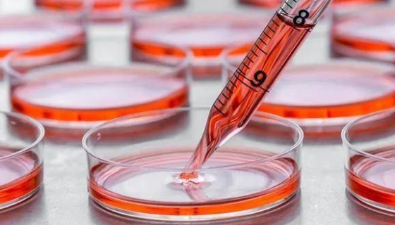 细胞培养基中常见添加剂的功能及使用方法！