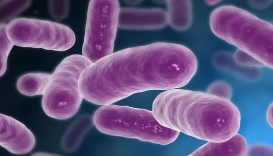 丁酸桿菌的知識(shí)概述與生理功能及主要應(yīng)用！