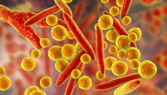 雞毒支原體的臨床表現(xiàn)與防治措施及應用案例！