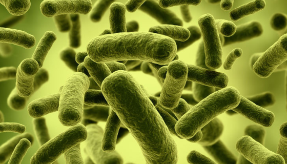 人體細胞先老，還是腸道微生物群先老？