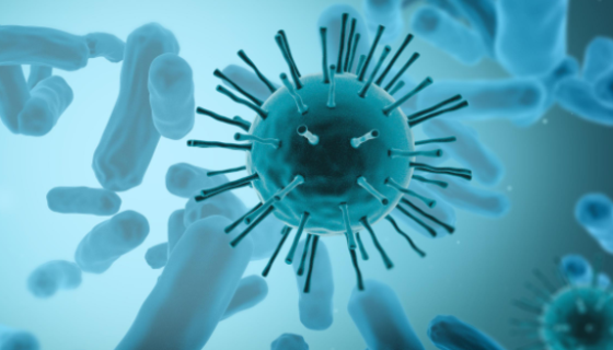 志贺氏菌的致病物质与免疫性及传播途径与防治原则！
