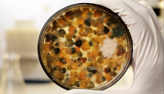 食品企业检测和预防微生物污染的方法和措施！