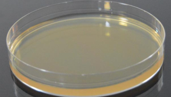 腦心浸液瓊脂（BHI）的配制方法與實(shí)驗(yàn)原理！