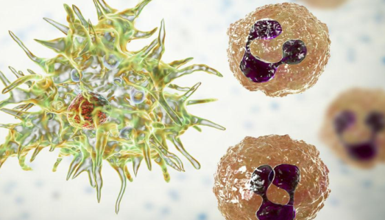 棘阿米巴的形態(tài)特征與分類研究及感染癥狀與治療方法！