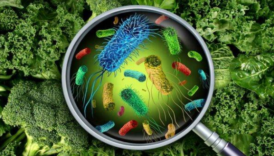 收藏！引發(fā)食源性疾病的致病菌主要有那幾種？