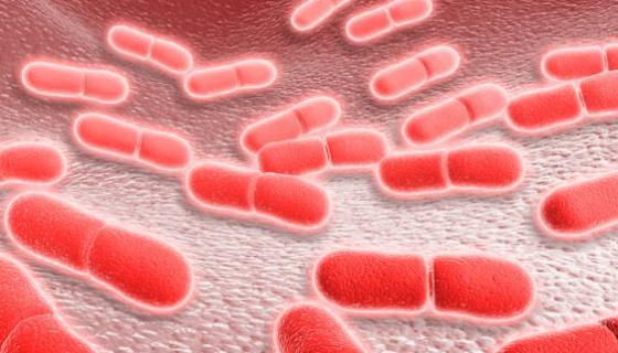 单细胞增生李斯特菌的危害与症状及预防与治疗！