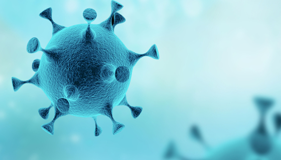 雞痘病毒的主要特性與傳播途徑及預(yù)防措施！