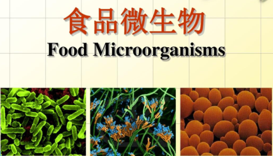 食品微生物的基础知识与控制方法及相关研究！