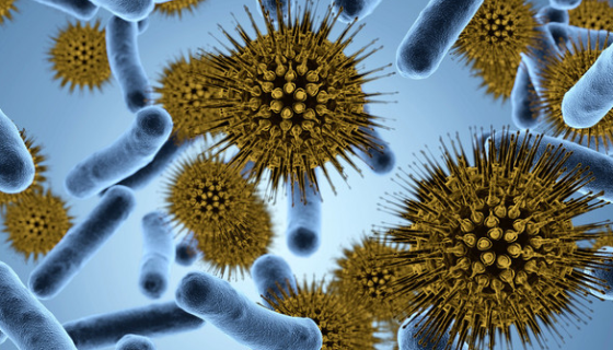 細(xì)菌的特殊結(jié)構(gòu)及其染色方法與注意事項(xiàng)！