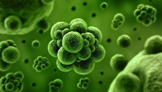 CRO实验室洁净室中细菌真菌的污染控制措施！