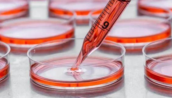 研究人員開創(chuàng)了檢測細胞培養(yǎng)中微生物污染的新方法！