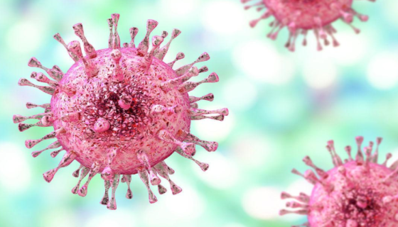 人巨細(xì)胞病毒的致病性和免疫性及流行病學(xué)和檢測！