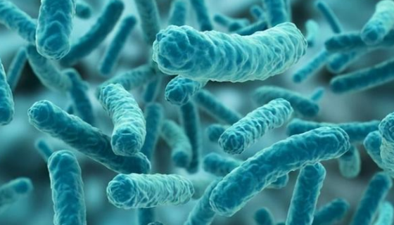 非发酵革兰阴性杆菌推测性鉴定的重要试验方法！
