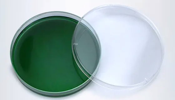 知識：TCBS瓊脂弧菌檢測的方法和手段準(zhǔn)確嗎？