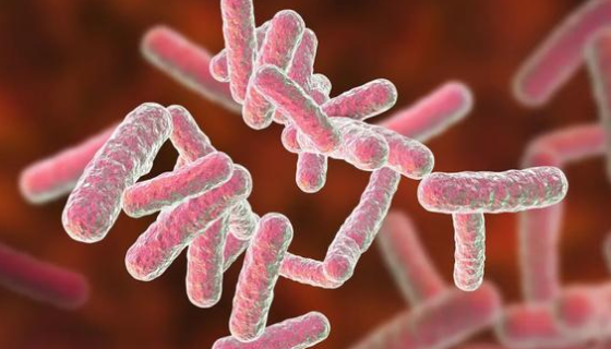 軍團(tuán)菌屬的培養(yǎng)特性與生化反應(yīng)及微生物學(xué)檢驗(yàn)！