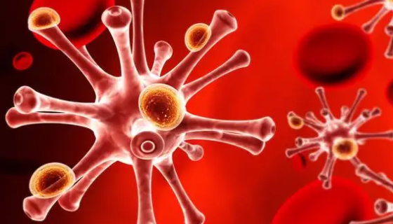 精氨酸支原體半固體的配方知識(shí)和制備方法！