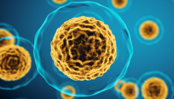 細(xì)胞周期與細(xì)胞凋亡檢測(cè)試劑盒的知識(shí)與應(yīng)用！