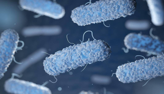 大肠杆菌生产中发酵车间噬菌体污染的原因及应对措施！
