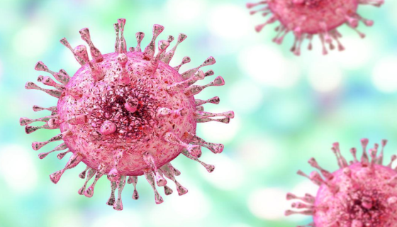 巨细胞病毒的致病性与免疫性及防治与预防！