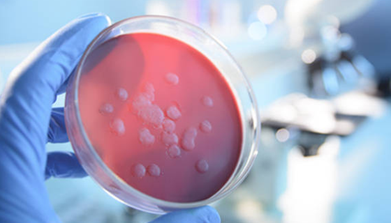 微生物实验室与检定菌及培养基的管理制度！